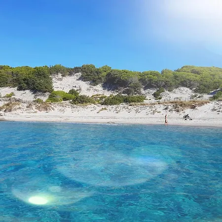 Lejlighed 2 Terrasses Face De 100m2 Saint-Florent (Corsica)