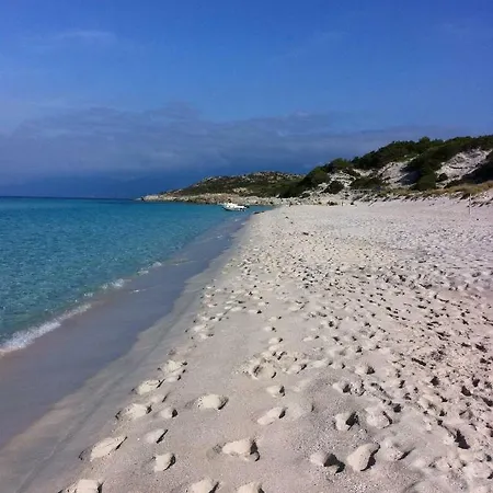 2 Terrasses Face De 100m2 Lejlighed Saint-Florent (Corsica)