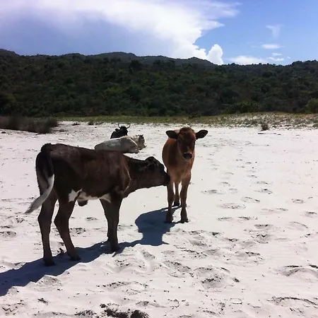 2 Terrasses Face De 100m2 * Сен-Флоран