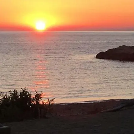 2 Terrasses Face De 100m2 *