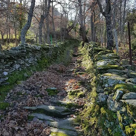 Апартаменты 2 Terrasses Face De 100m2 Сен-Флоран