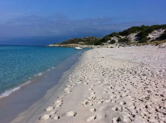 2 Terrasses Face De 100m2 Lägenhet Saint-Florent (Corsica)