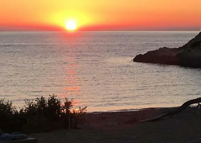 2 Terrasses Face De 100m2 *