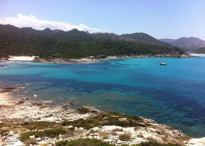 2 Terrasses Face De 100m2 *